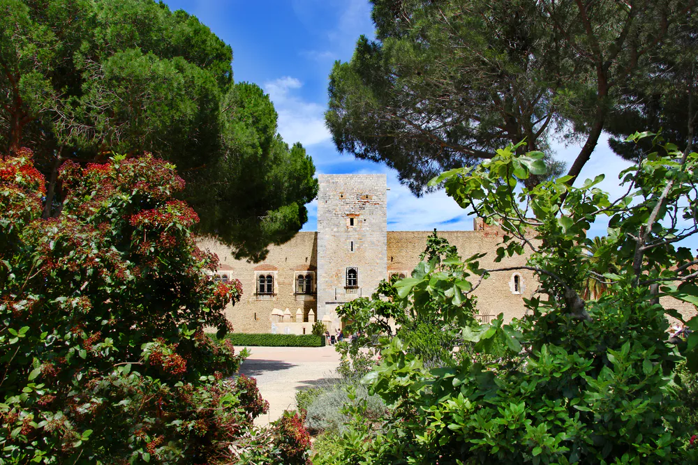 Patio del Palacio de los Reyes de Mallorca entre vegetación