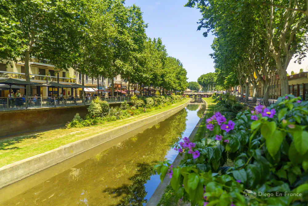 Fotografía de diegoenfrance.com de un paseo arbolado junto al río Basse, una experiencia tranquila del turismo en Perpiñán