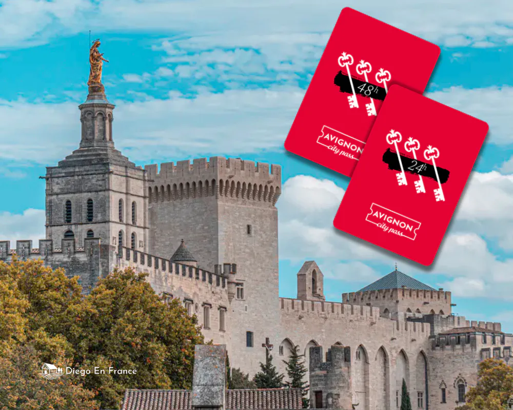 Fotografía de diegoenfrance.com mostrando el Palais des Papes con las tarjetas Avignon City Pass, ideal para quienes buscan qué hacer en Aviñón ahorrando tiempo y dinero