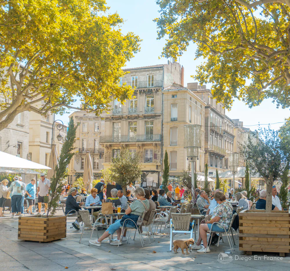Fotografía de diegoenfrance.com mostrando el ambiente local de la Place de l’Horloge, una parada esencial entre las cosas que hacer en Aviñón