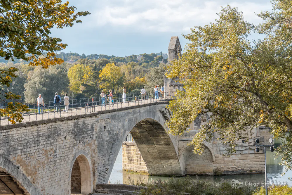 Fotografía de diegoenfrance.com del Puente Saint-Bénézet rodeado de naturaleza, perfecta para inspirar qué hacer en Aviñón al aire libre