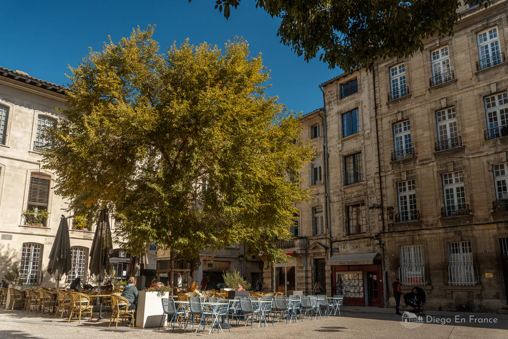 Fotografía de diegoenfrance.com mostrando terrazas y vida cotidiana en la Place des Carmes, recomendada entre las mejores cosas que hacer en Aviñón