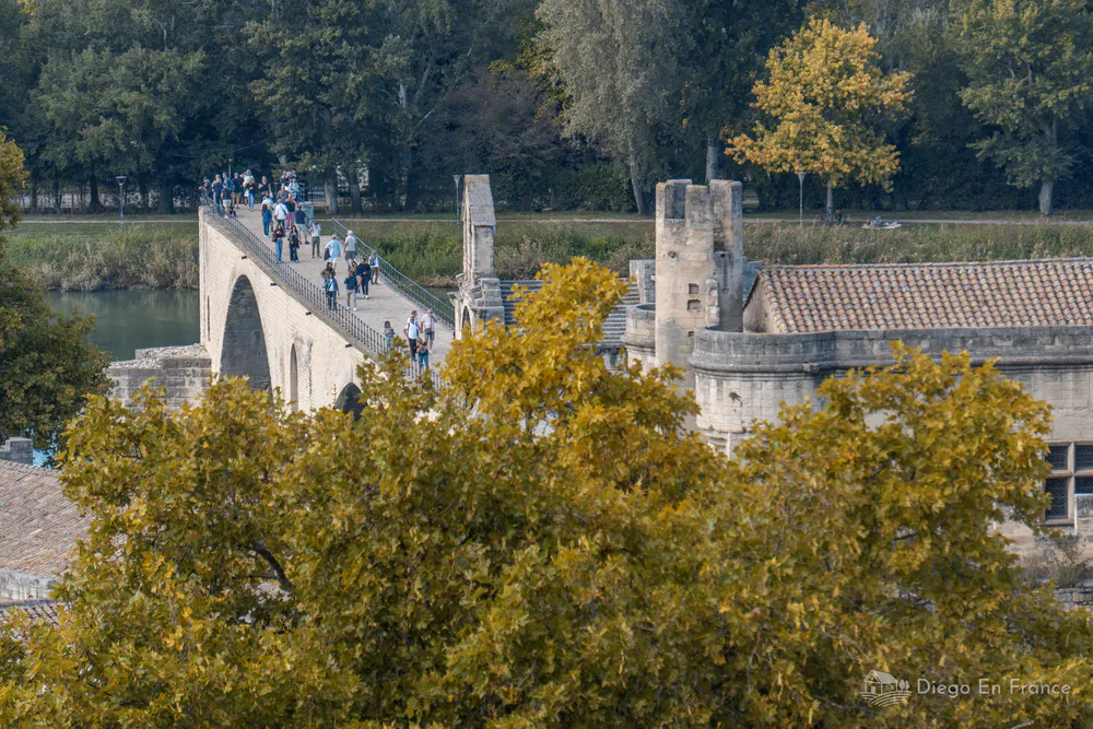 Fotografía de diegoenfrance.com mostrando el Puente Saint-Bénézet sobre el Ródano, ideal para quienes buscan qué hacer en Aviñón con historia y paisajes
