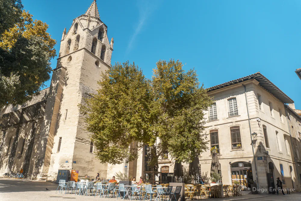 Fotografía de diegoenfrance.com mostrando la plaza y la iglesia bajo los plátanos, perfecta para descubrir qué hacer en Aviñón localmente