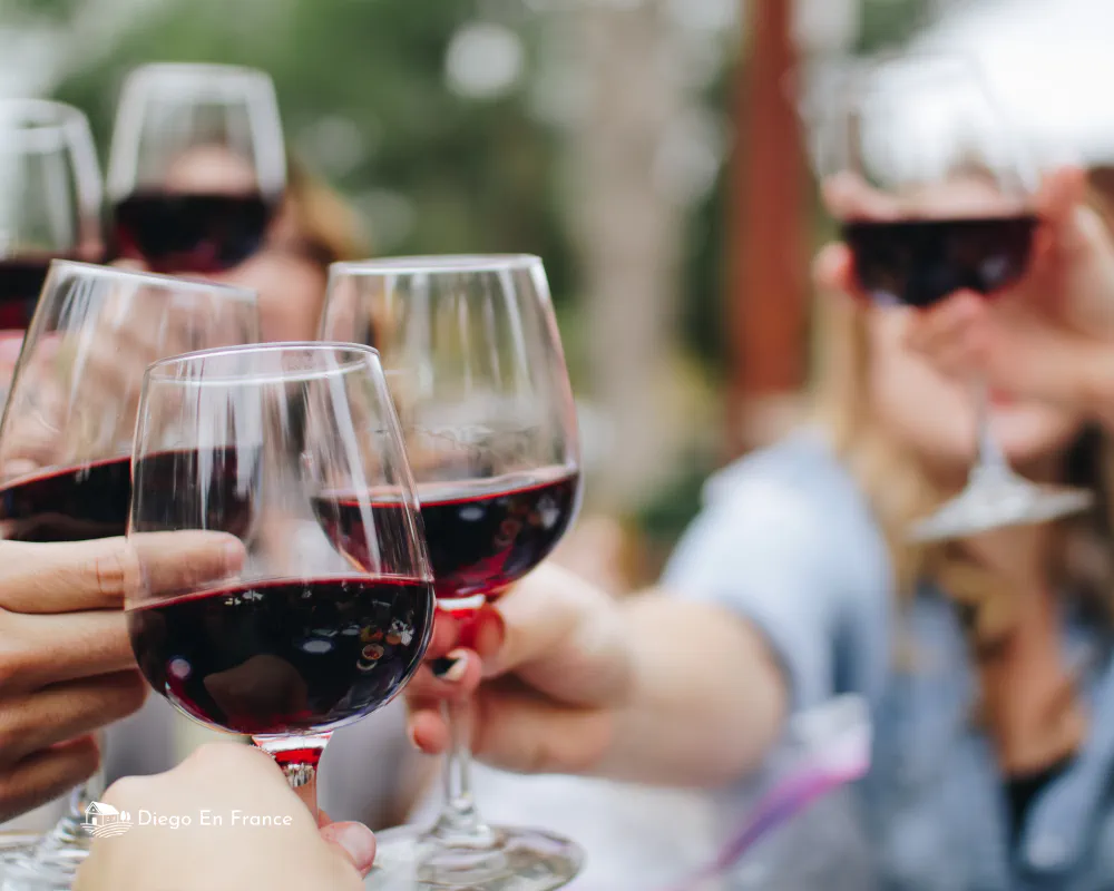 Fotografía de diegoenfrance.com de una cata de vinos provenzales en el tour de degustación desde Aviñón, ideal para quienes buscan qué hacer en Aviñón.