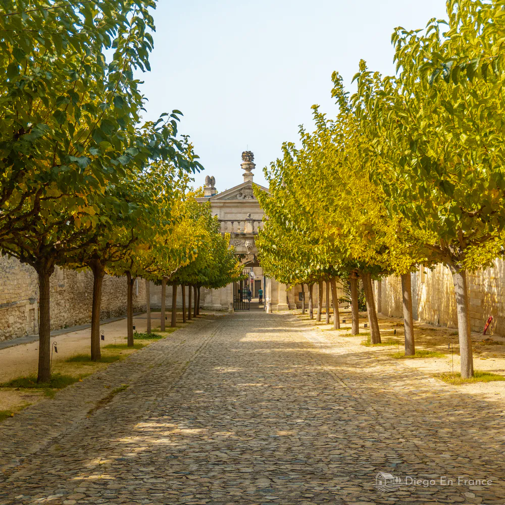 Fotografía de diegoenfrance.com del acceso principal de la Chartreuse de Villeneuve-lès-Avignon, rodeado de calma y belleza.