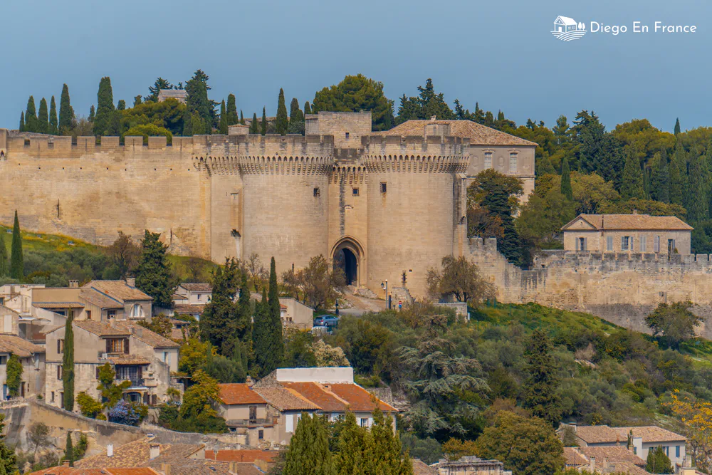 Fotografía de diegoenfrance.com del imponente Fuerte Saint-André, una joya del patrimonio medieval del sur de Francia.