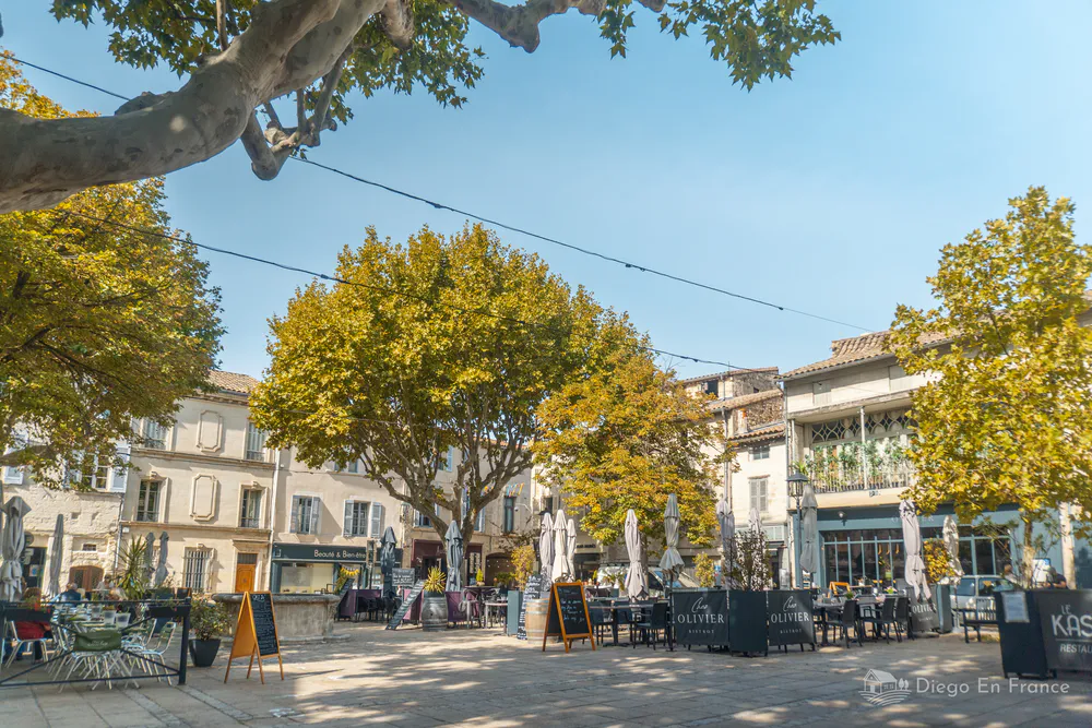Fotografía de diegoenfrance.com de las terrazas y cafés bajo los plátanos de la plaza principal.
