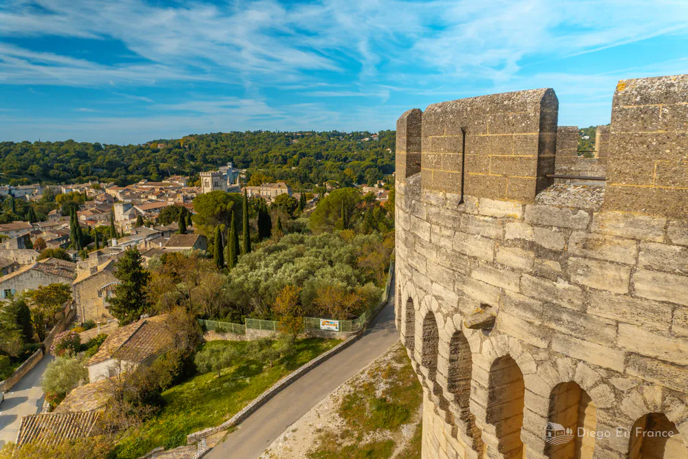 Fotografía de diegoenfrance.com del panorama de Villeneuve-lès-Avignon desde las alturas del Fuerte Saint-André.