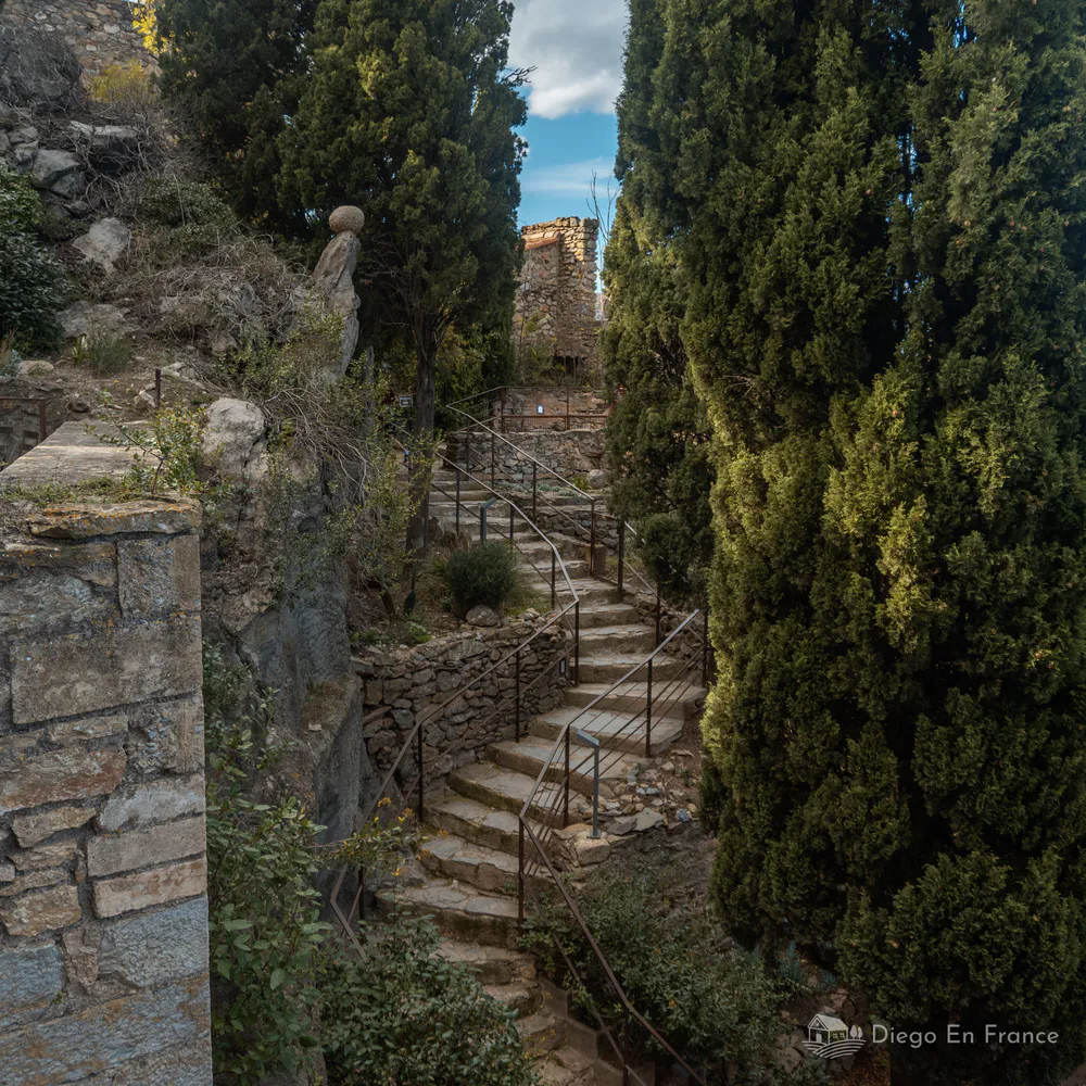 Escaliers en pierre du château médiéval de Castelnou entourés de cyprès, dans les Pyrénées-Orientales, en France. Photo de diegoenfrance 