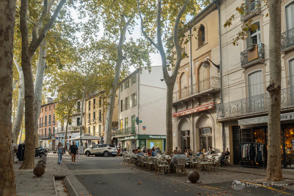 Calles y terrazas de Céret al atardecer, paseo imprescindible para quienes buscan qué hacer en Vallespir