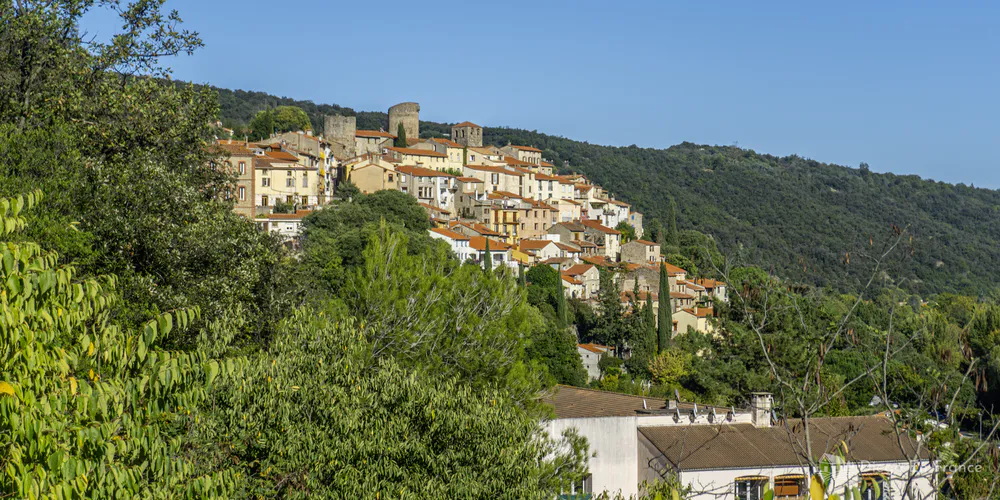 Casas de Palalda sobre la ladera con paisaje verde del Vallespir. Fotografía de diegoenfrance.com